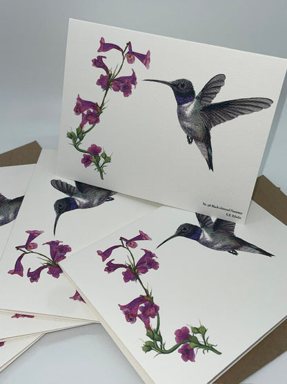 Black Chinned Hummingbird - Bird Art by KB - Notecard Set