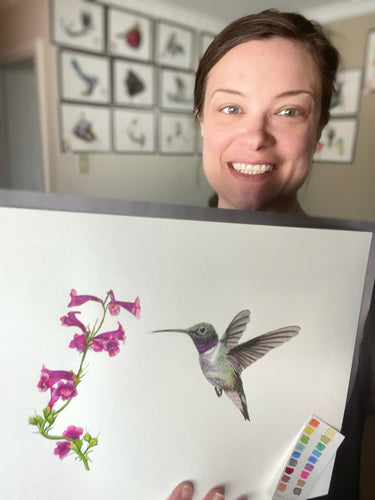 Black Chinned Hummingbird - Bird Art by KB - Original
