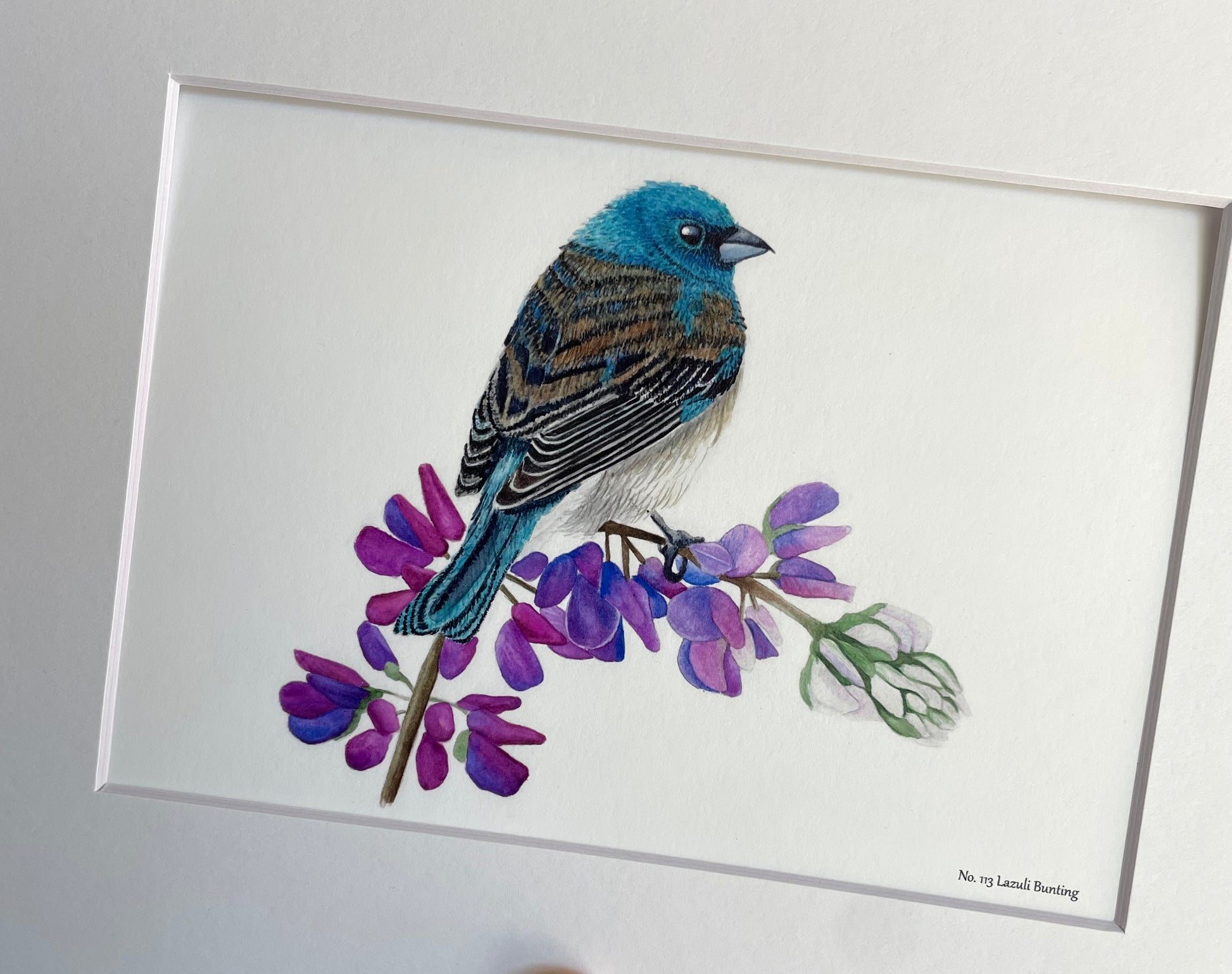 Lazuli Bunting - Bird Art by KB - Giclee Print with White Mat