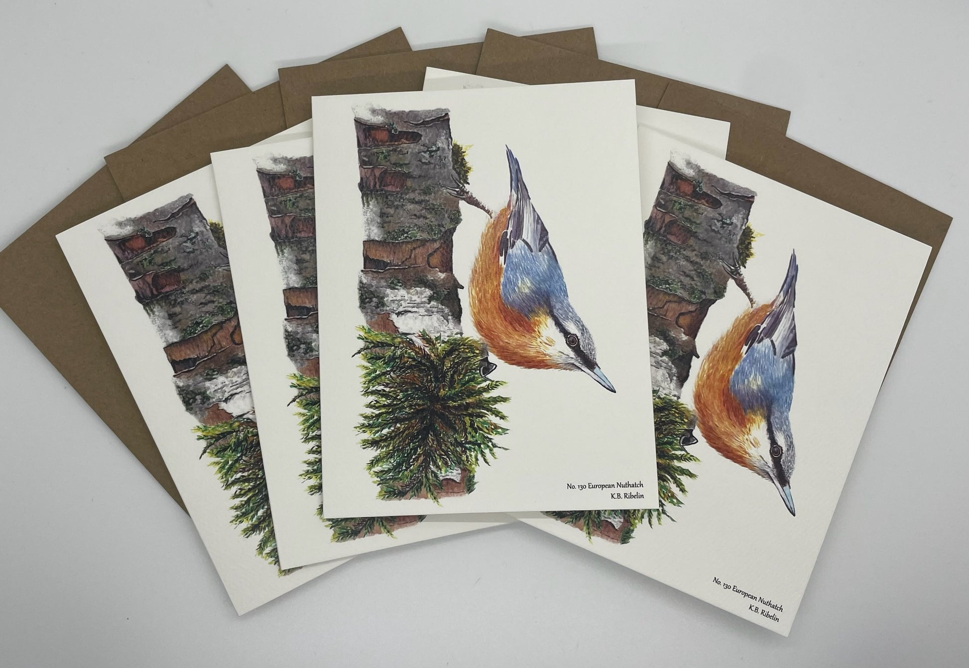 Eurasian Nuthatch - Bird Art by KB - Notecard Individual