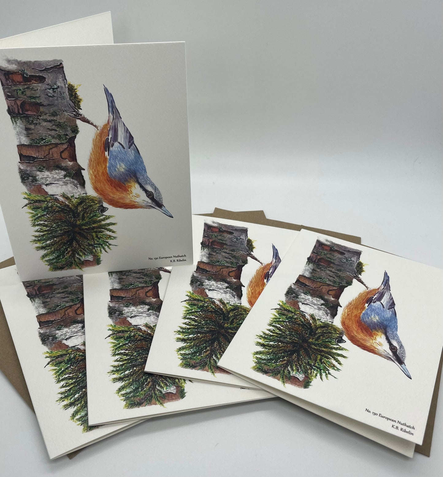 Eurasian Nuthatch - Bird Art by KB - Notecard Set