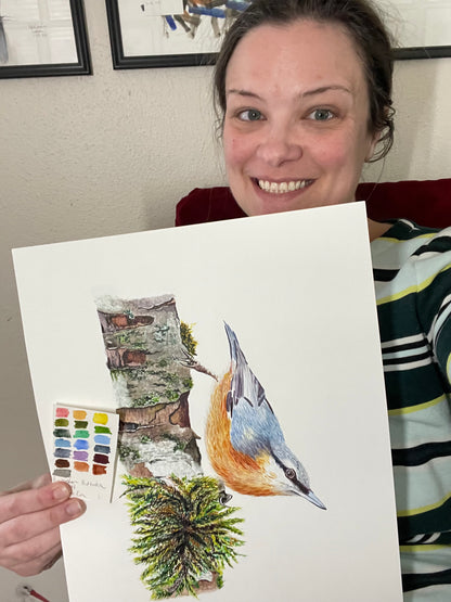 Eurasian Nuthatch - Bird Art by KB - Original