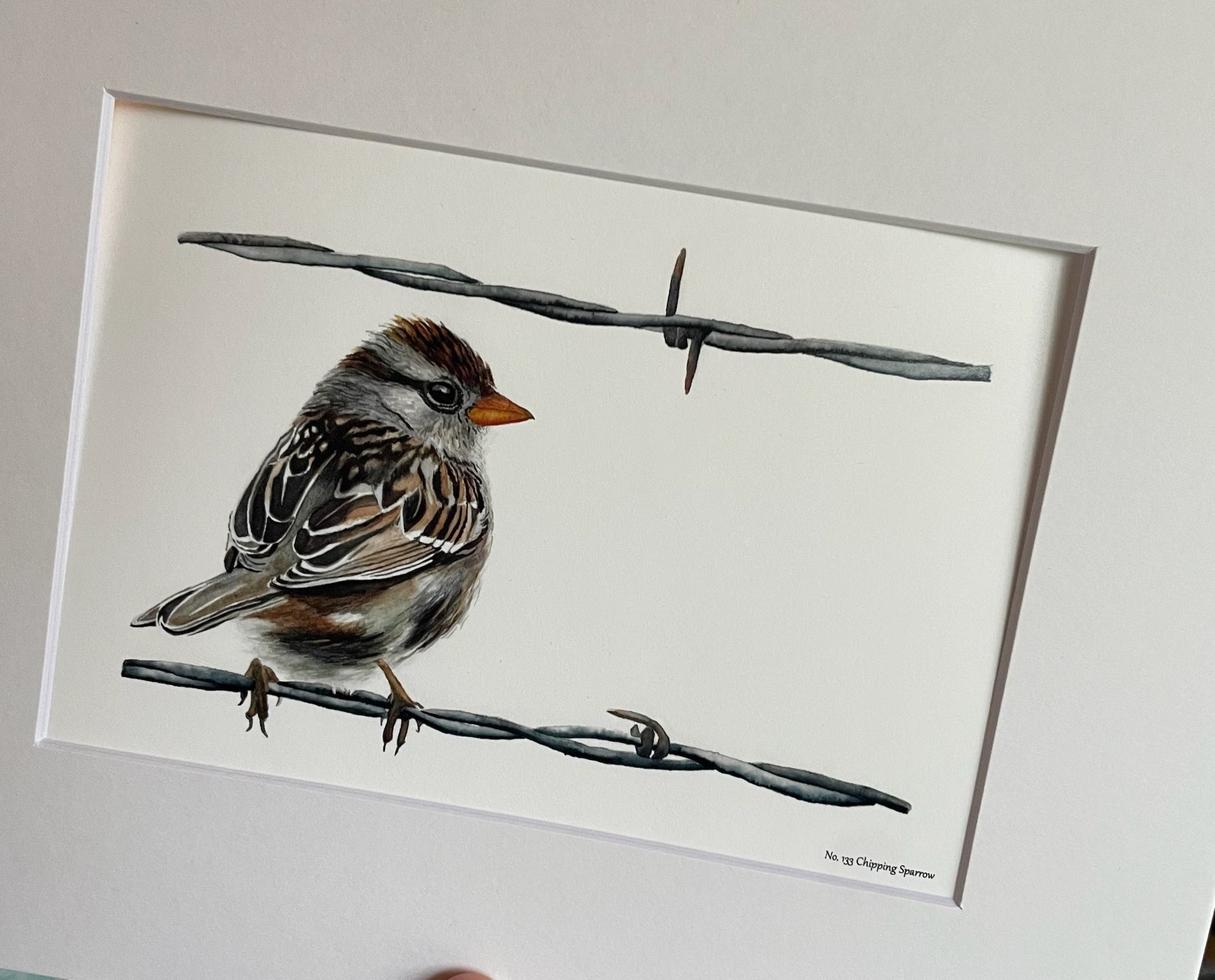 Chipping Sparrow - Bird Art by KB - Giclee Print with White Mat