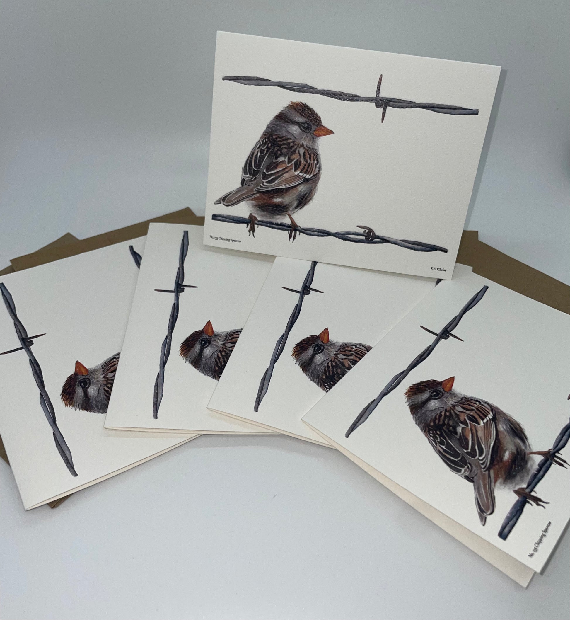 Chipping Sparrow - Bird Art by KB - Notecard Set