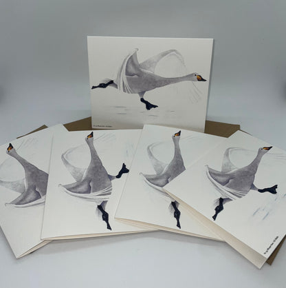 Whooper Swan - Bird Art by KB - Notecard Individual
