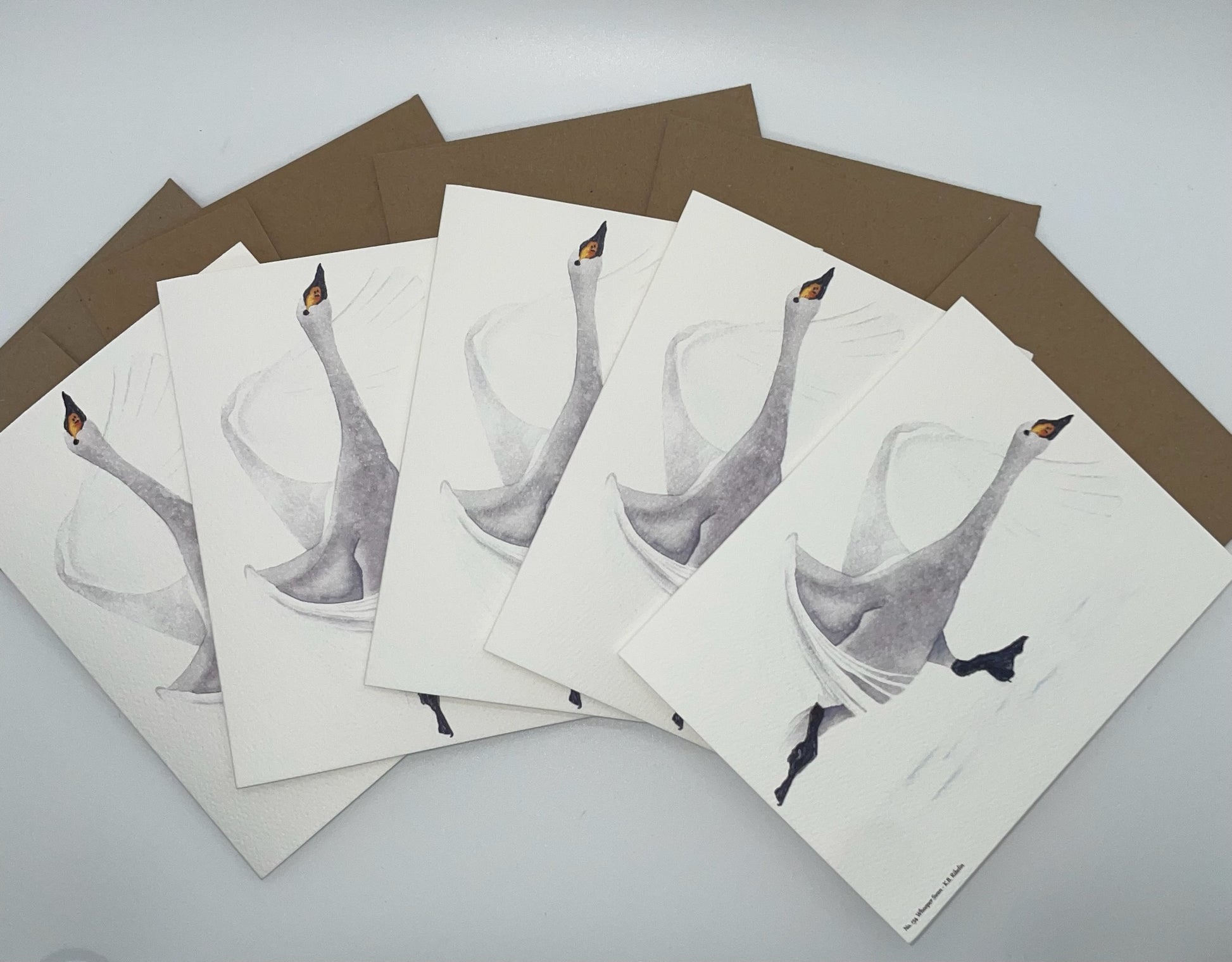 Whooper Swan - Bird Art by KB - Notecard Set
