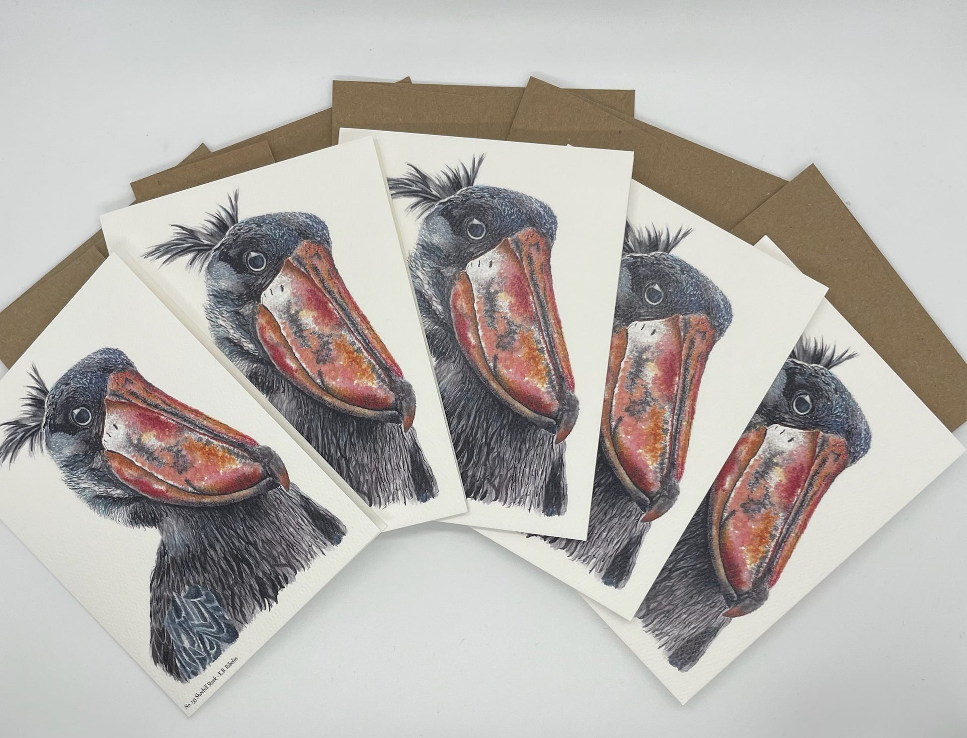 Shoebill Stork - Bird Art by KB - Notecard Set
