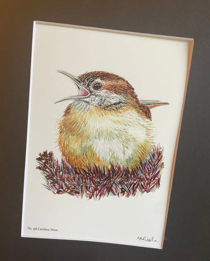 Carolina Wren - Bird Art by KB - Giclee Print with Black Mat