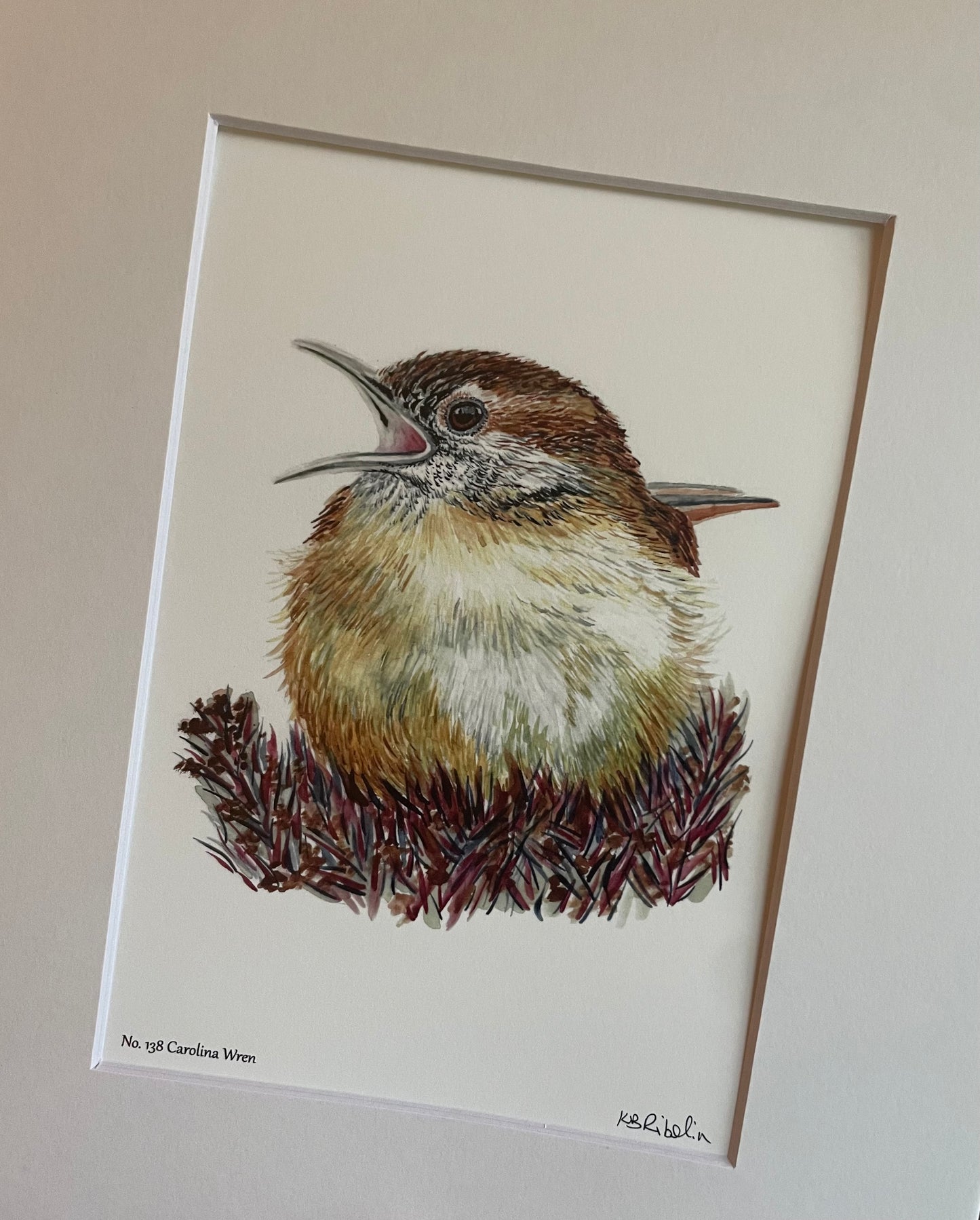 Carolina Wren - Bird Art by KB - Giclee Print with White Mat