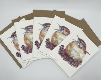 Carolina Wren - Bird Art by KB - Notecard Set