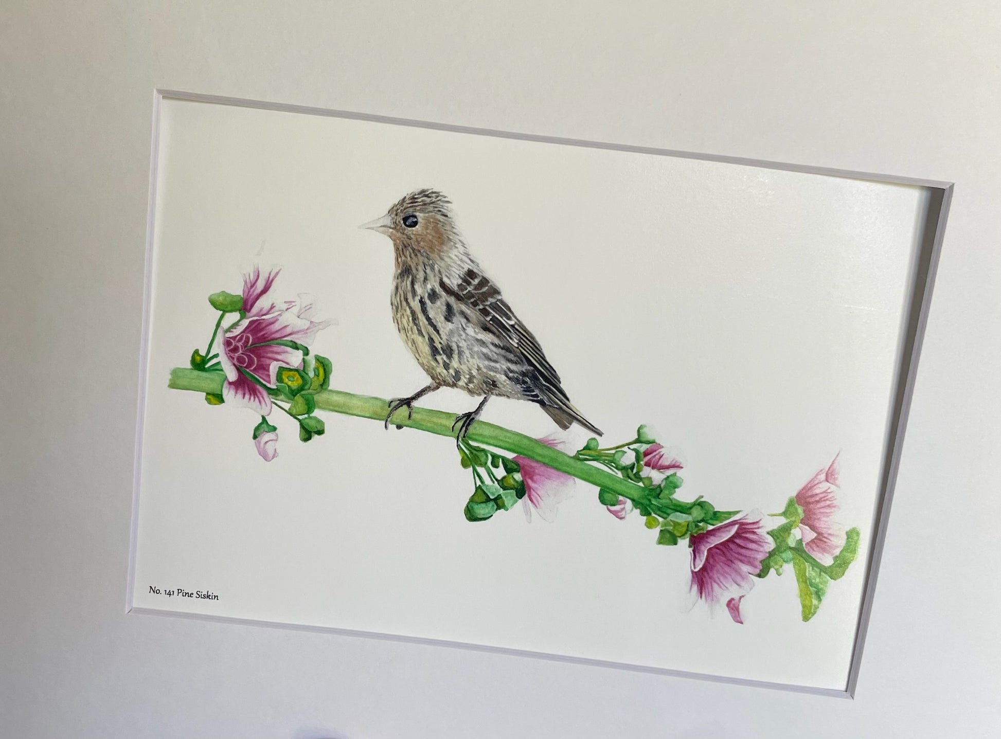 Pine Siskin - Bird Art by KB - Giclee Print with White Mat