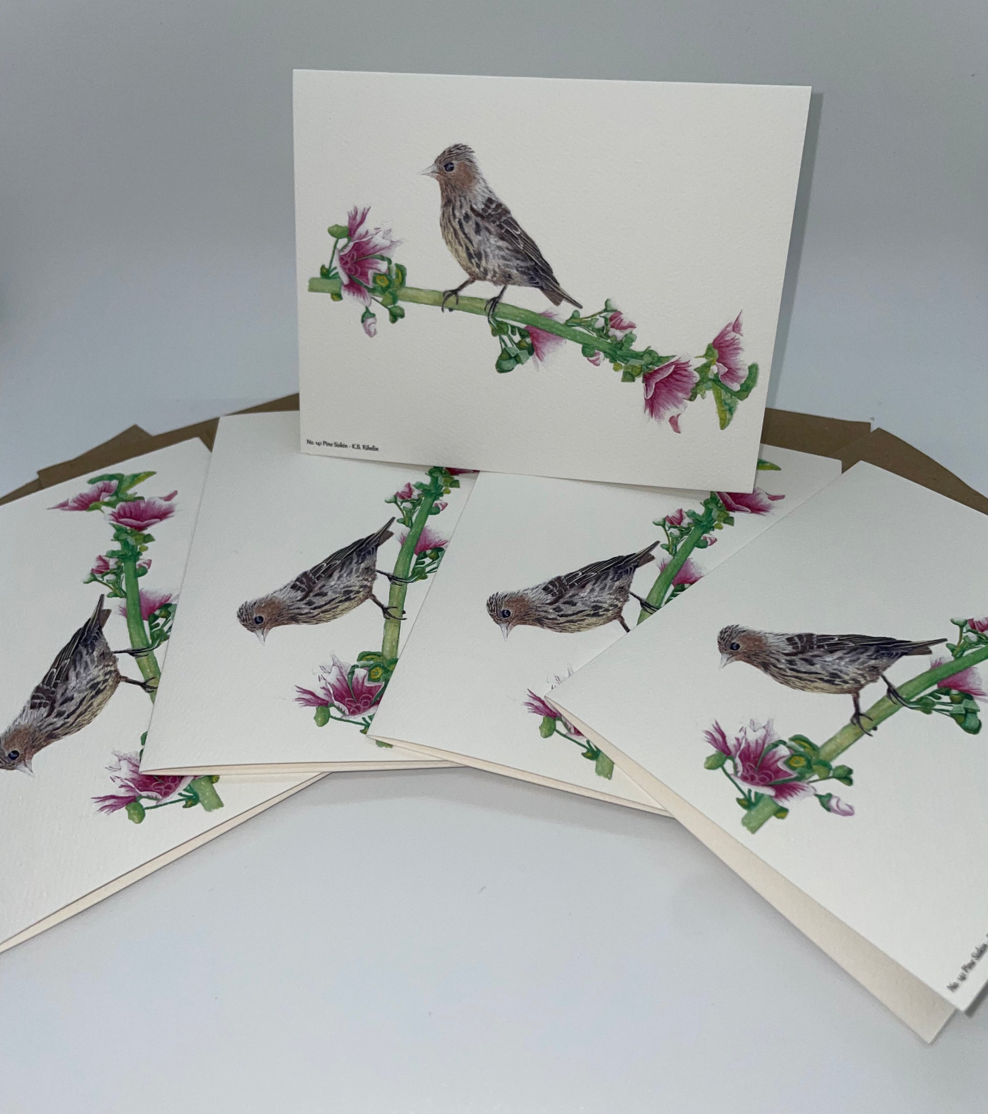 Pine Siskin - Bird Art by KB - Notecard Set