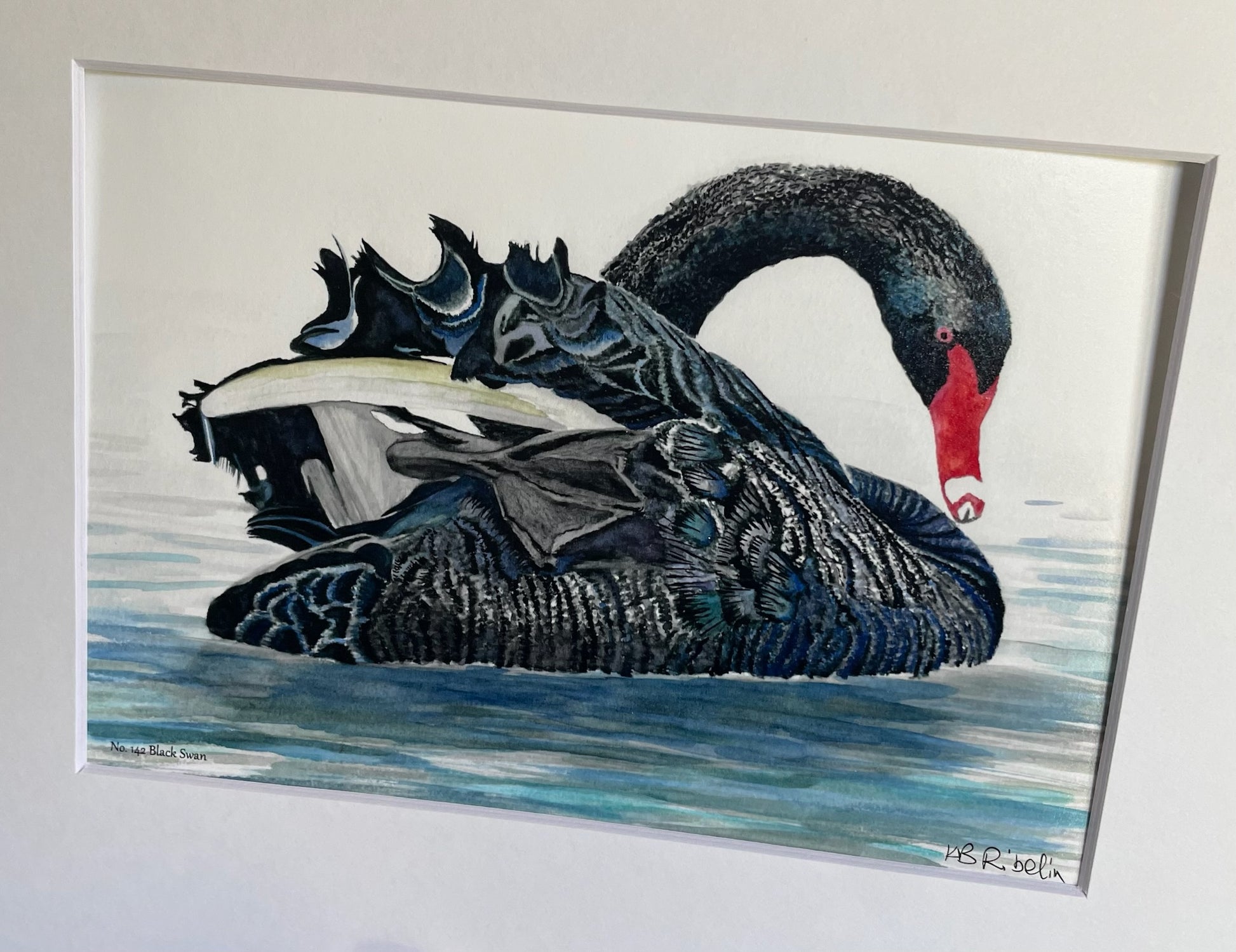 Black Swan - Bird Art by KB - Giclee Print with White Mat
