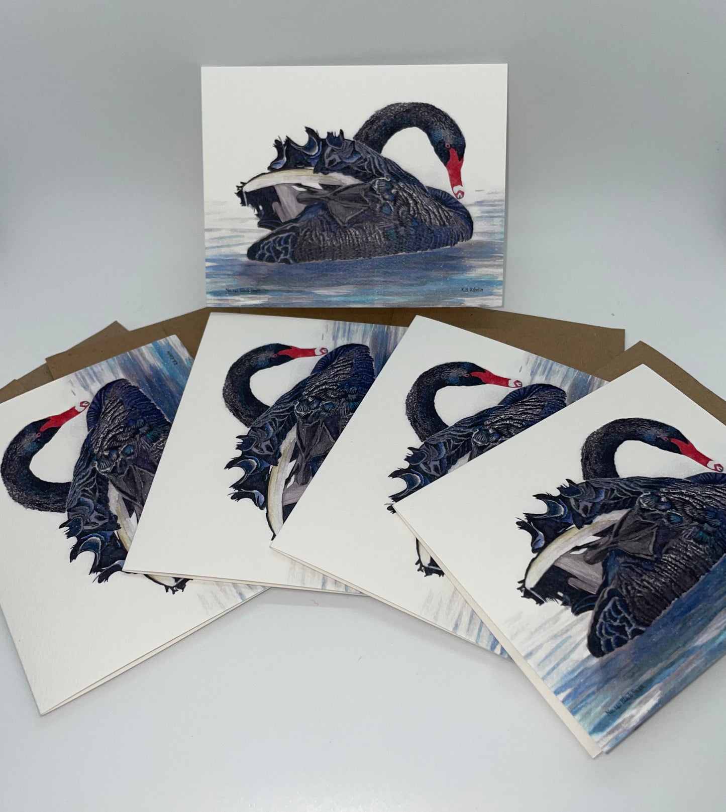 Black Swan - Bird Art by KB - Notecard Set