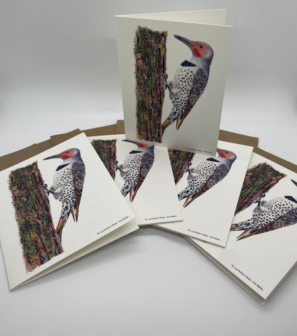 Northern Flicker - Bird Art by KB - Notecard Set