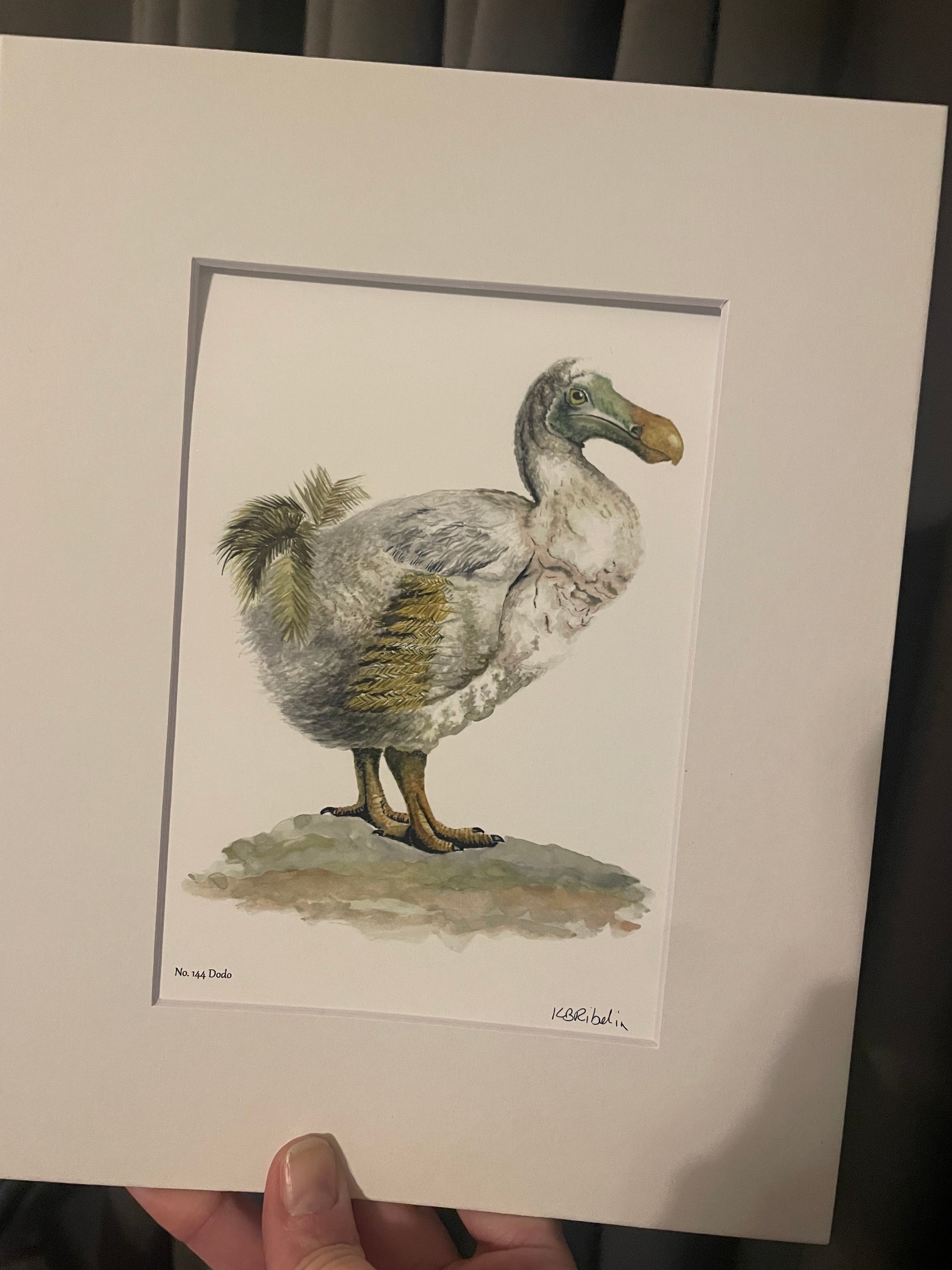 Dodo - Bird Art by KB - Giclee Print with White Mat