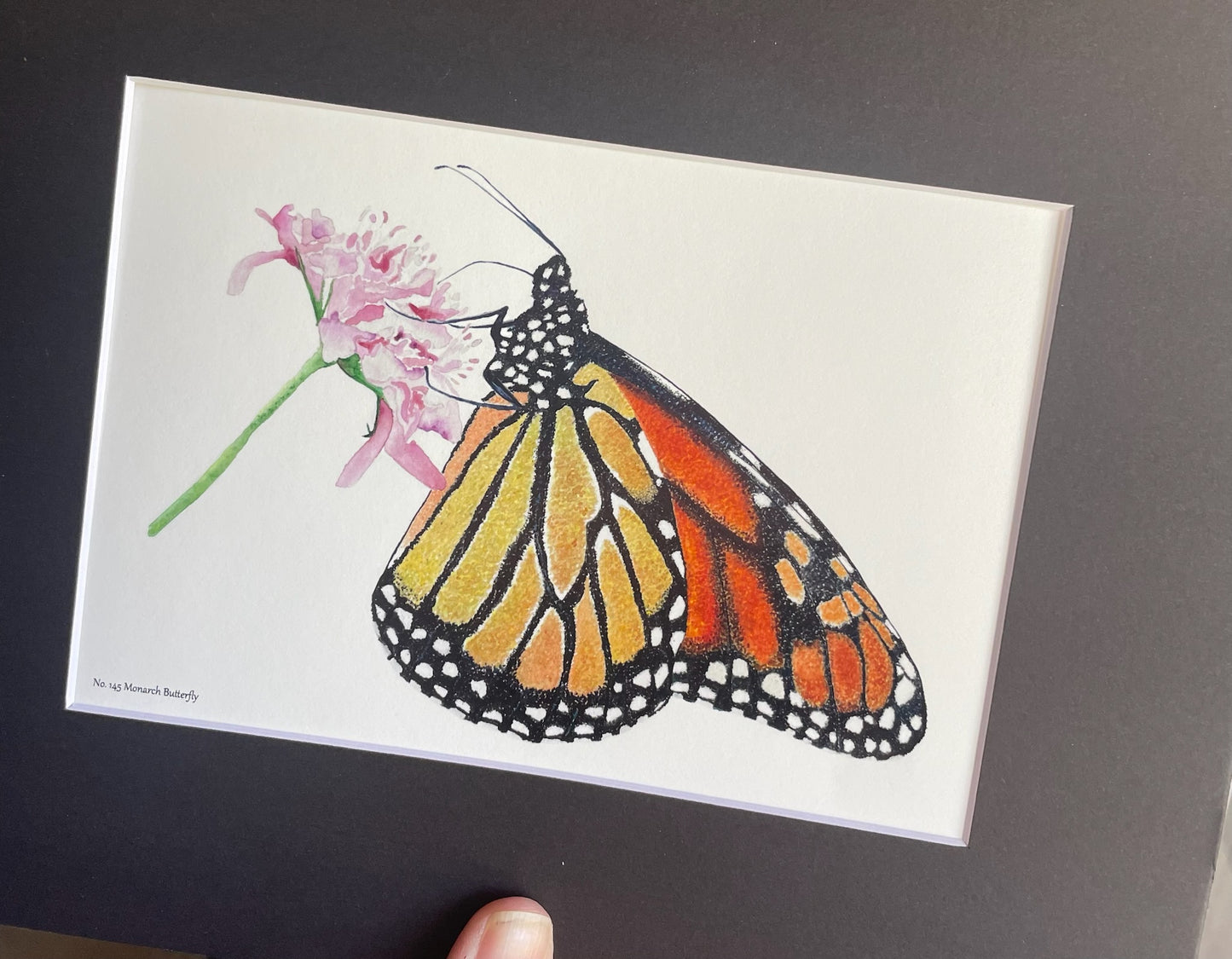 Monarch Butterfly - Bird Art by KB - Giclee Print with Black Mat