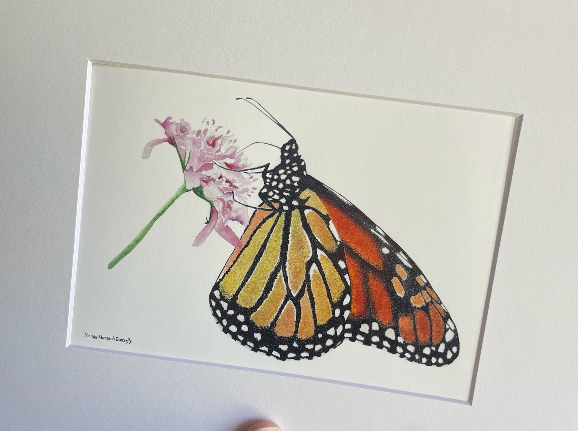 Monarch Butterfly - Bird Art by KB - Giclee Print with White Mat