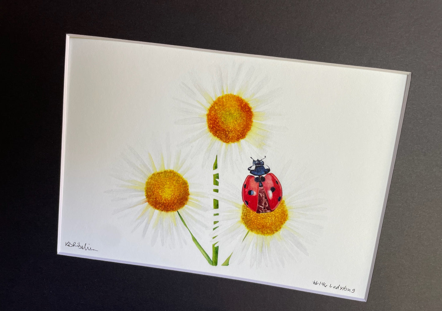 Ladybug - Bird Art by KB - Giclee Print with Black Mat