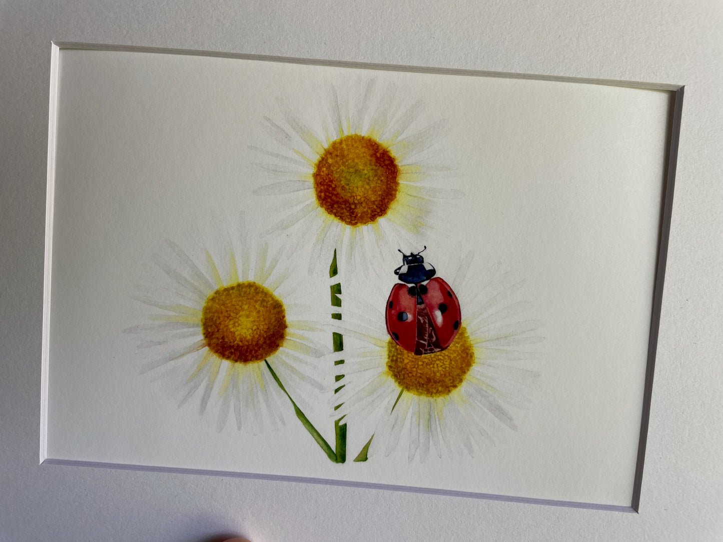 Ladybug - Bird Art by KB - Giclee Print with White Mat