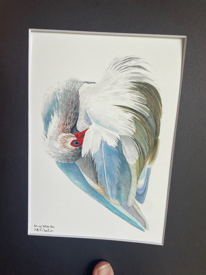 White Ibis - Bird Art by KB - Giclee Print with Black Mat