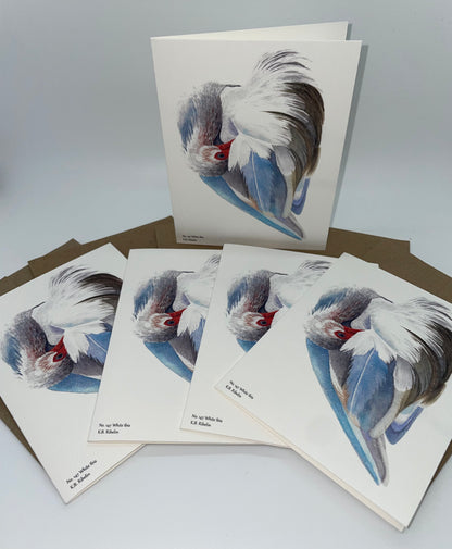 White Ibis - Bird Art by KB - Notecard Set