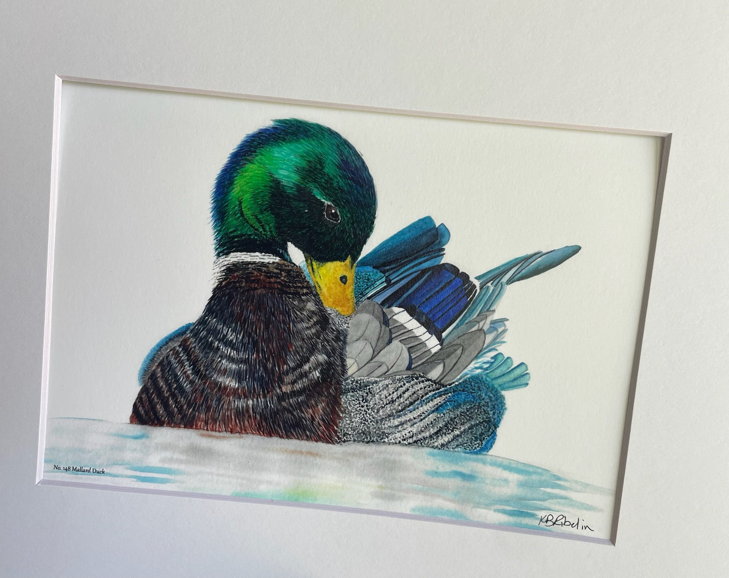 Mallard Duck (Male) - Bird Art by KB - Giclee Print with White Mat