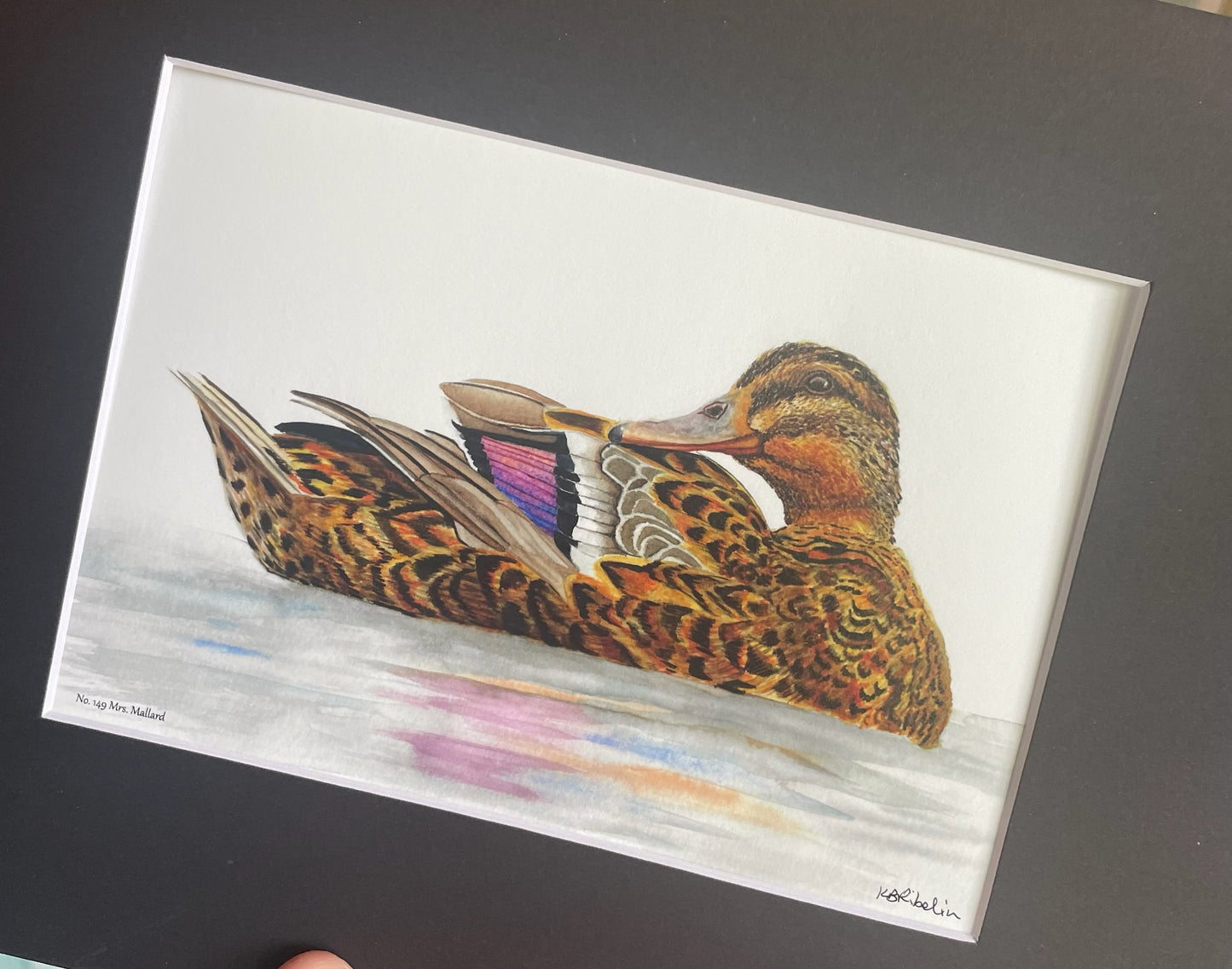 Mallard Duck (Female) - Bird Art by KB - Giclee Print with Black Mat