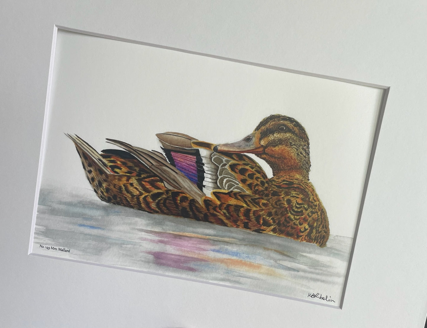 Mallard Duck (Female) - Bird Art by KB - Giclee Print with White Mat