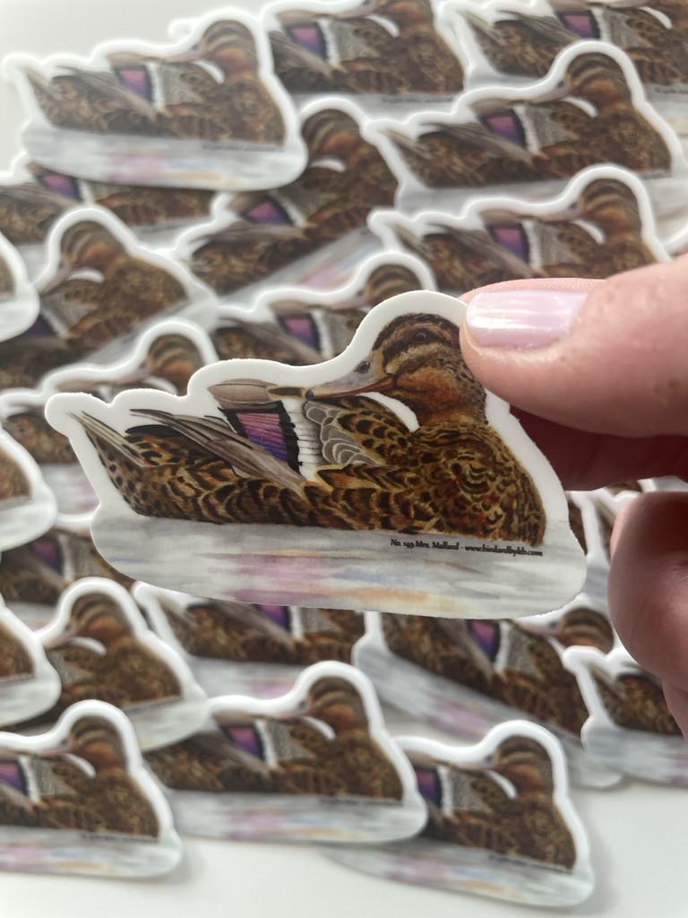 Mallard Duck (Female) - Bird Art by KB - Sticker
