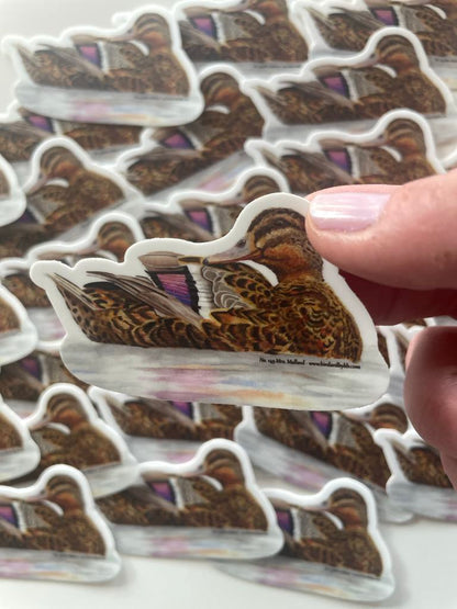 Mallard Duck (Female) - Bird Art by KB - Sticker