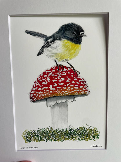 South Island Tomtit - Bird Art by KB - Giclee Print with White Mat