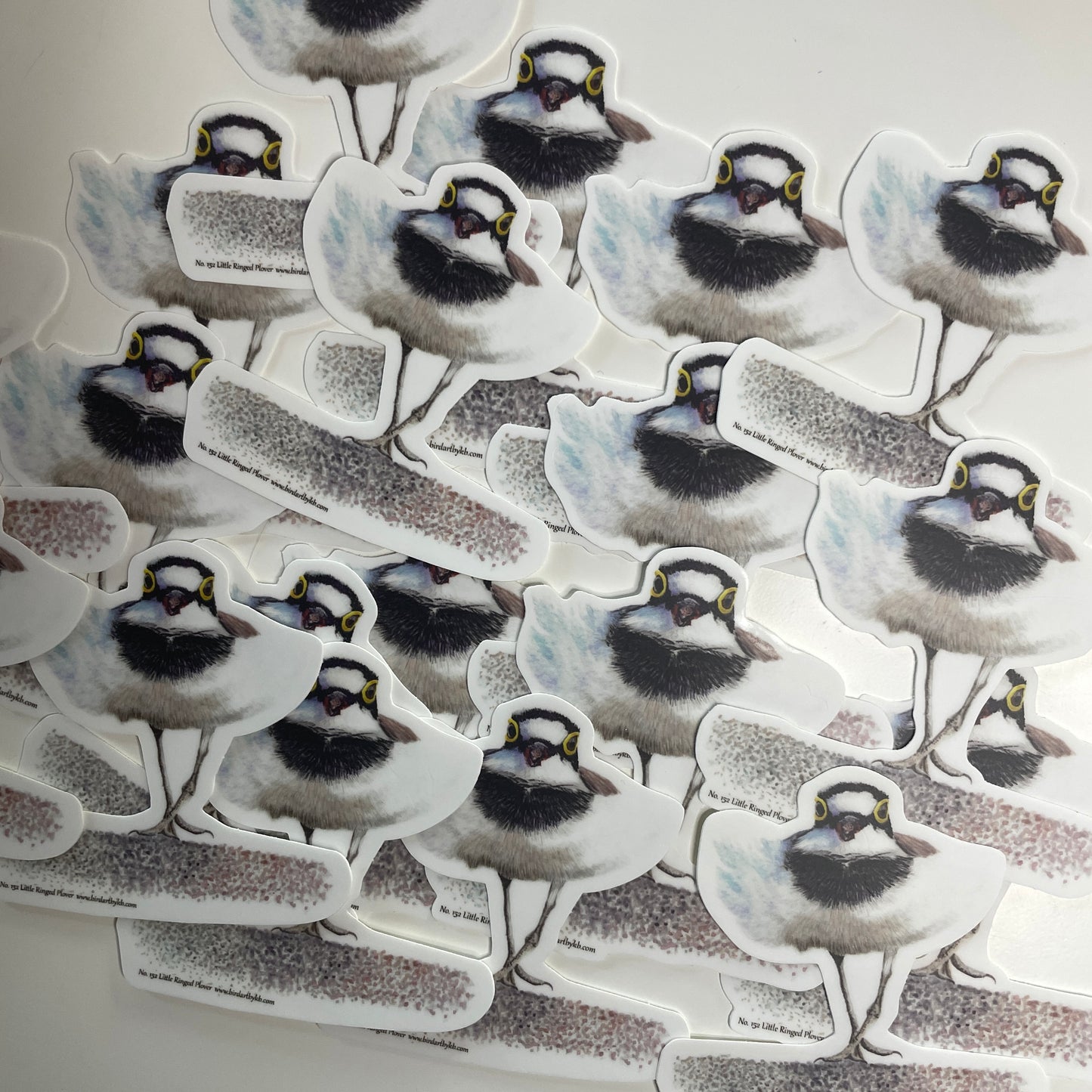 Little Ringed Plover - Bird Art by KB - Sticker