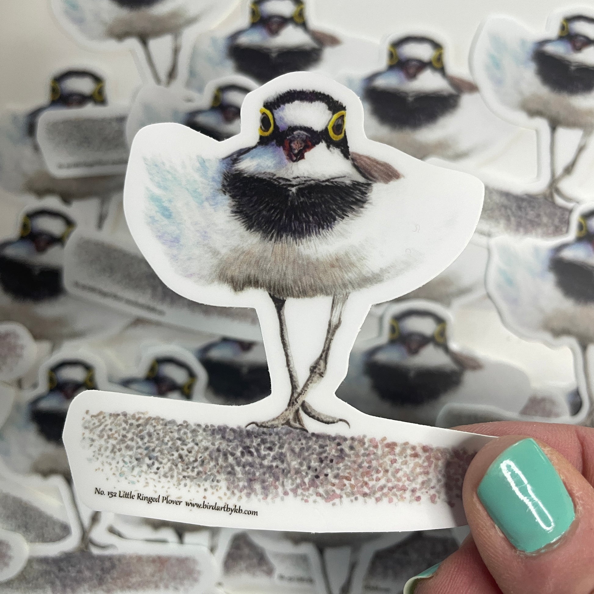Little Ringed Plover - Bird Art by KB - Sticker