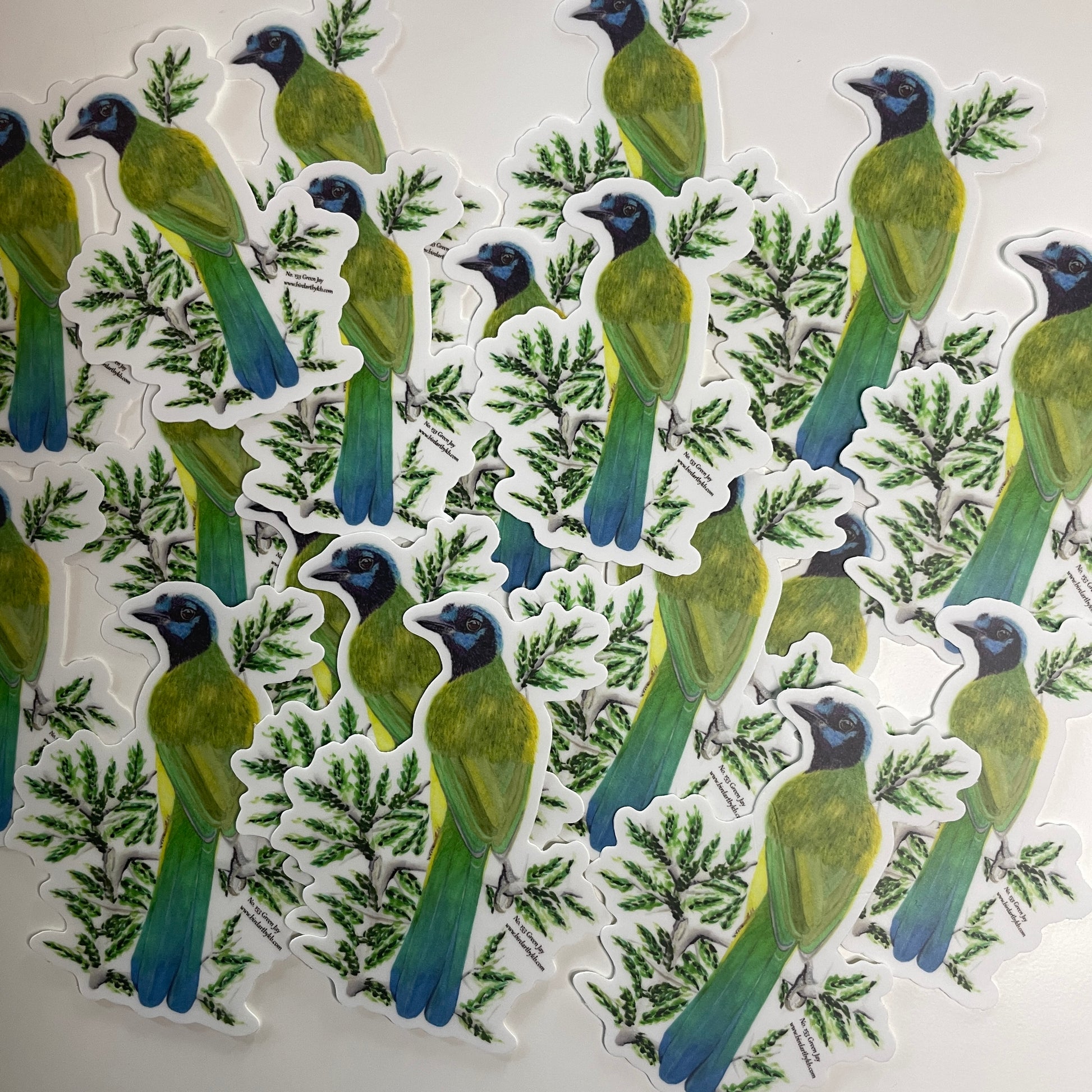 Green Jay - Bird Art by KB - Sticker