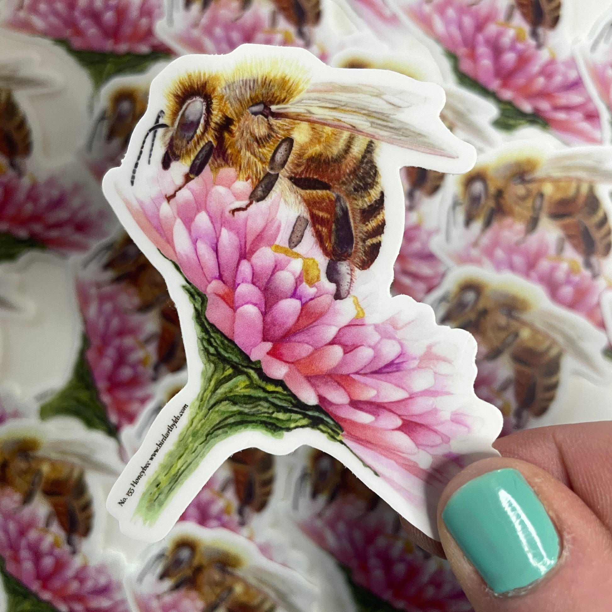Honey Bee - Bird Art by KB - Sticker