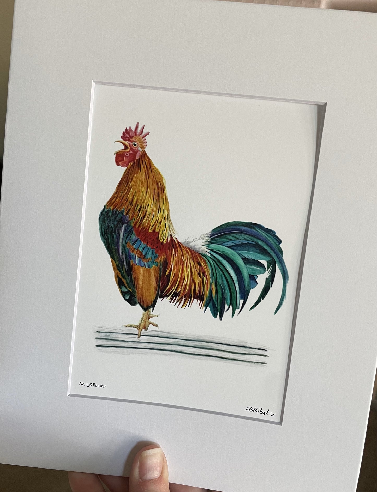 Red Junglefowl (Male) - Bird Art by KB - Giclee Print with White Mat