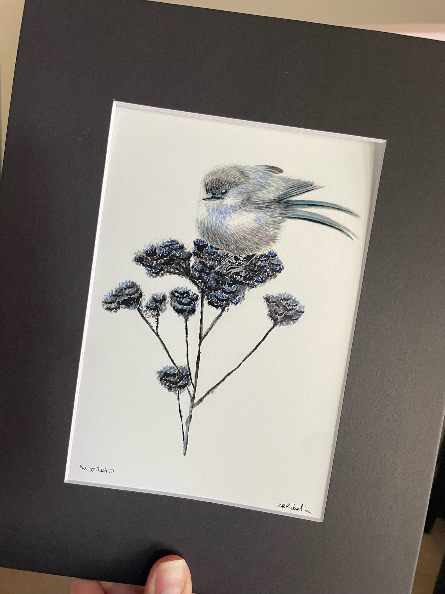 Bush Tit - Bird Art by KB - Giclee Print with Black Mat