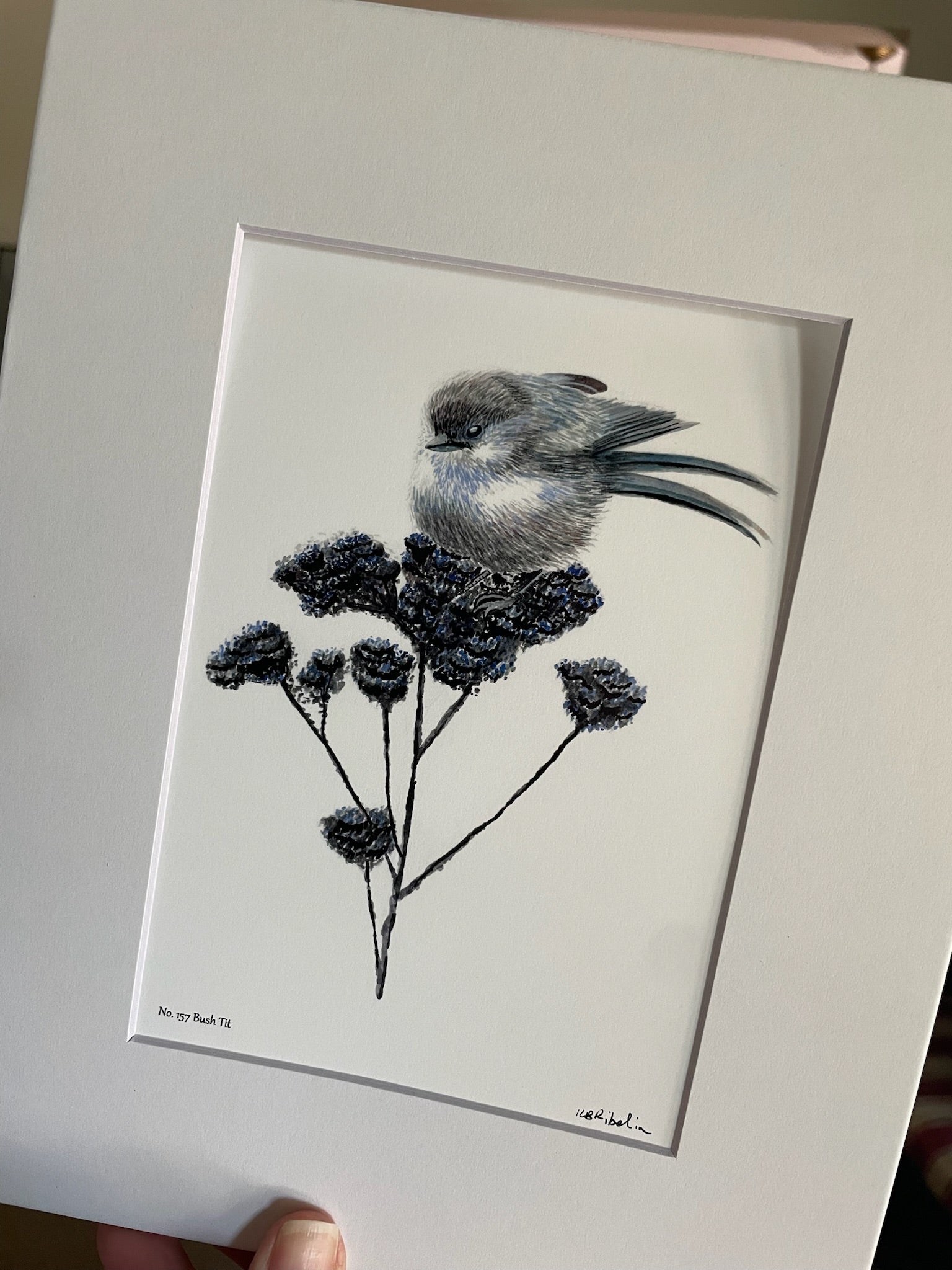 Bush Tit - Bird Art by KB - Giclee Print with White Mat