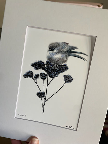 Bush Tit - Bird Art by KB - Giclee Print with White Mat