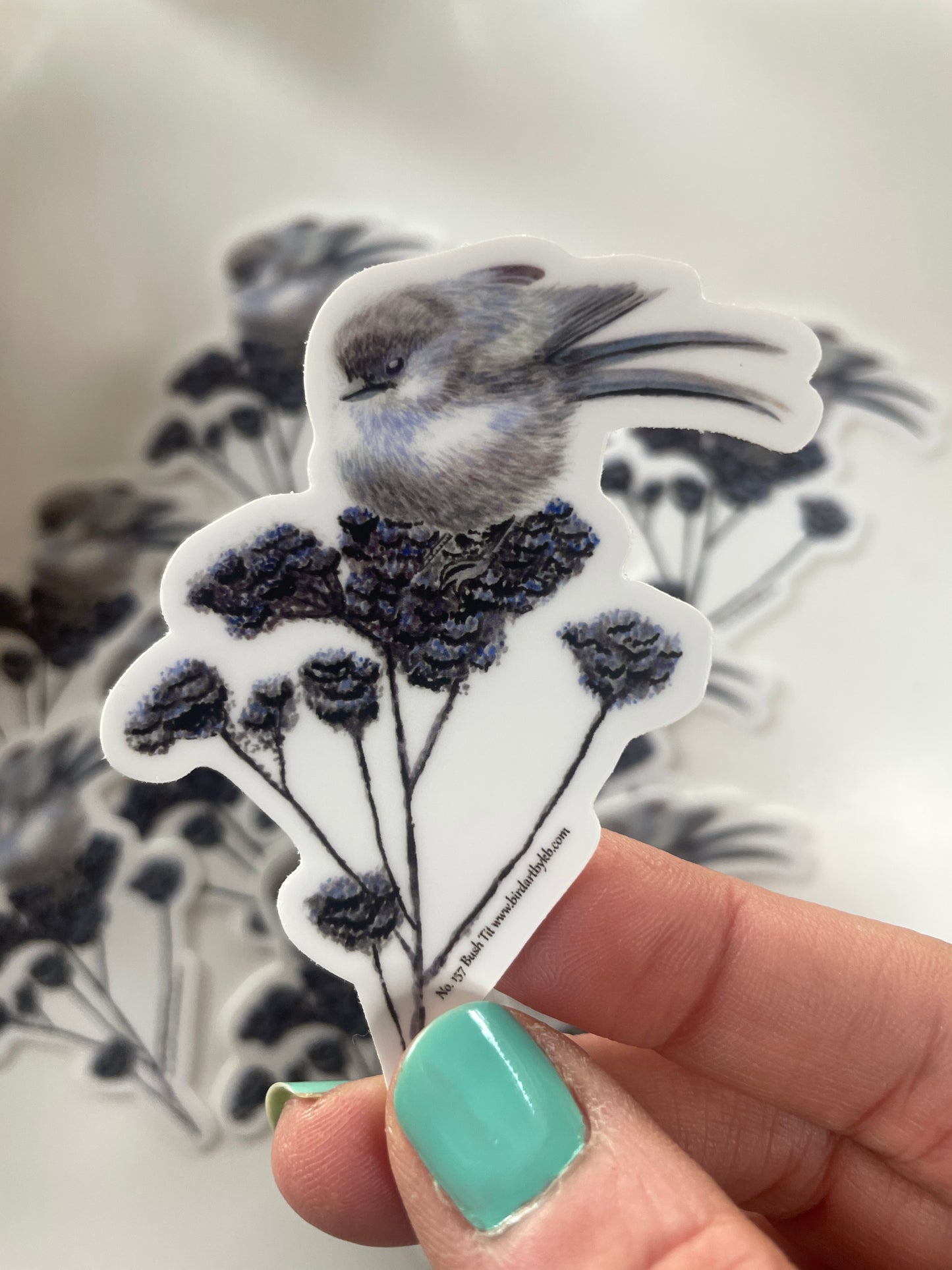 Bush Tit - Bird Art by KB - Sticker