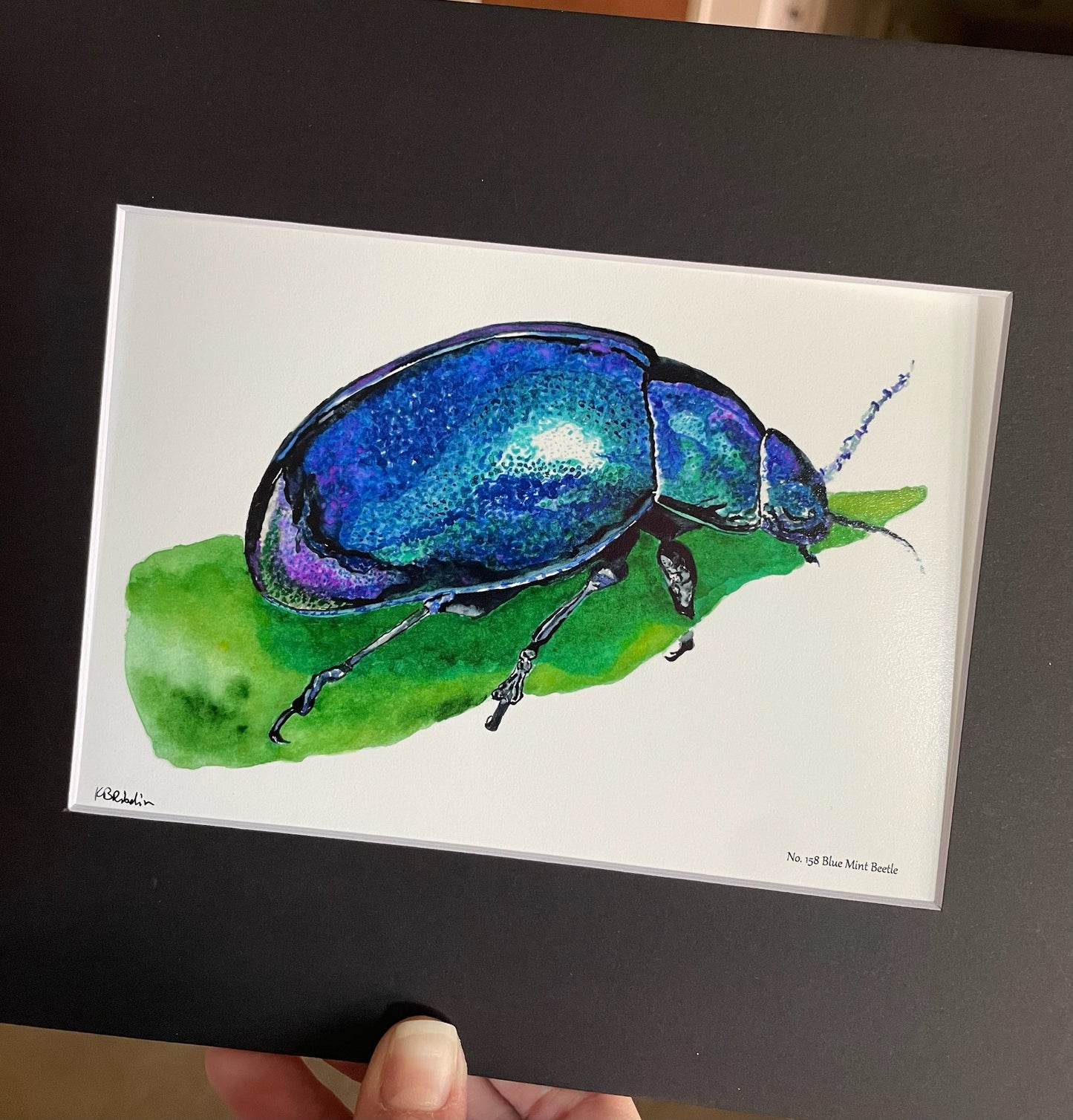 Blue Mint Beetle - Bird Art by KB - Giclee Print with Black Mat