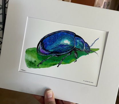 Blue Mint Beetle - Bird Art by KB - Giclee Print with White Mat