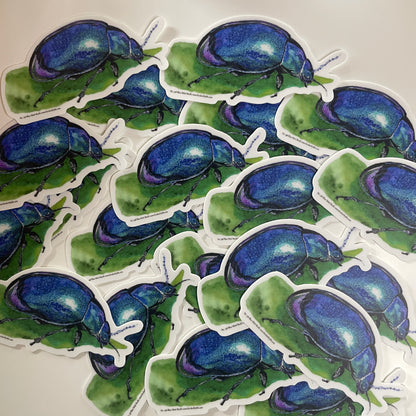 Blue Mint Beetle - Bird Art by KB - Sticker