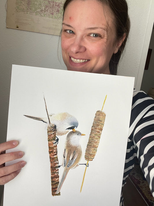 Bearded Reedling - Bird Art by KB - Original