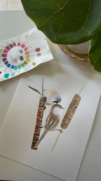 Bearded Reedling - Bird Art by KB - Original 2