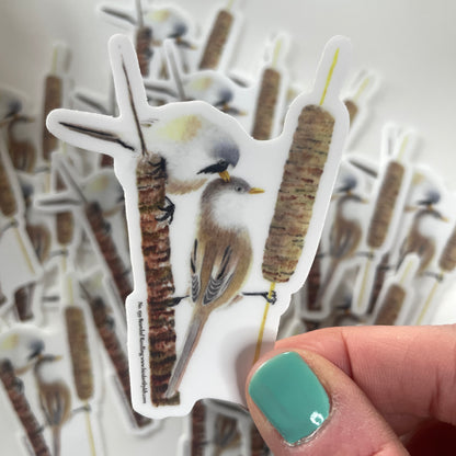 Bearded Reedling - Bird Art by KB - Sticker