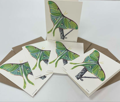 Luna Moth - Bird Art by KB - Notecard Individual