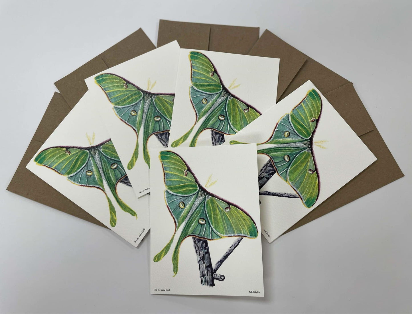 Luna Moth - Bird Art by KB - Notecard Set