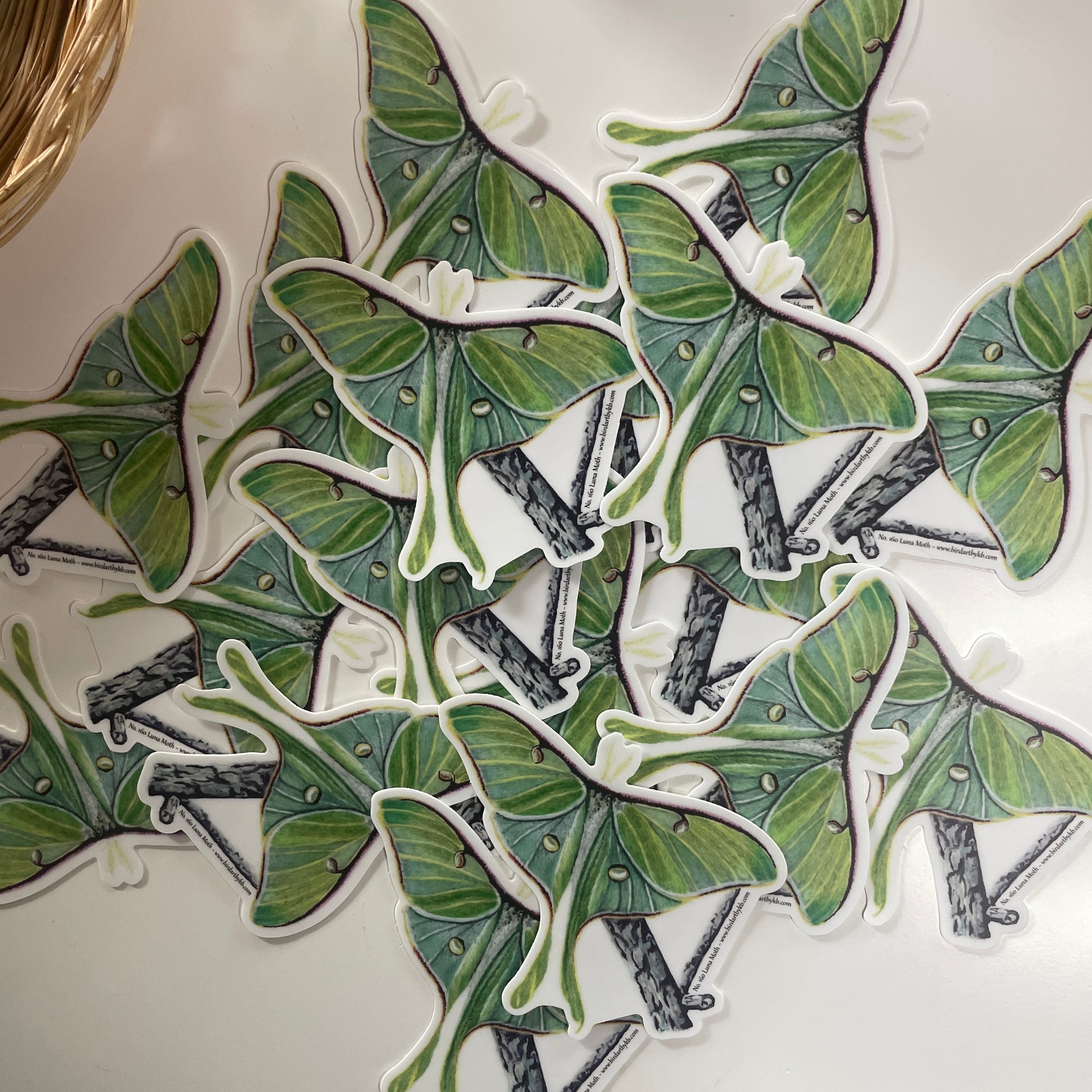 Luna Moth - Bird Art by KB - Sticker